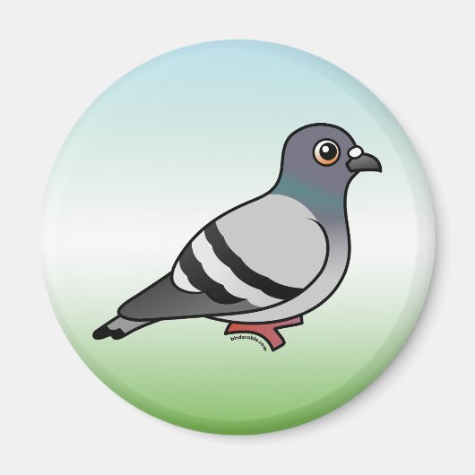 Aimant Pigeon Rocher (Devant)