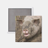 Aimant Piggy (Recto/Verso)