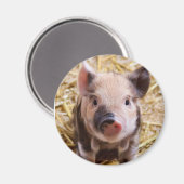 Aimant Piglet (Recto/Verso)