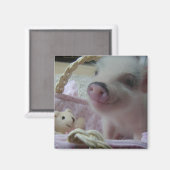 Aimant Piglet mignon (Recto/Verso)