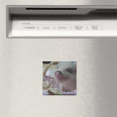 Aimant Piglet mignon (In Situ (Lave-vaisselle))