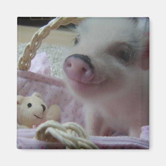 Aimant Piglet mignon (Devant)