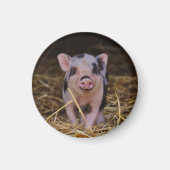 Aimant Piglet rose avec points noirs en paille (Devant)