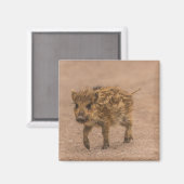 Aimant Piglet Sauvage (Recto/Verso)