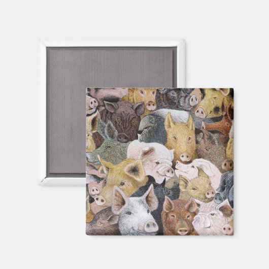 Aimant Pigs Galore (Recto/Verso)