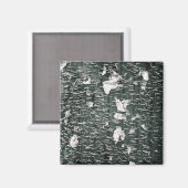 Aimant Piles (Recto/Verso)