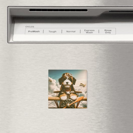 Aimant pilote bernedoodle (In Situ (Lave-vaisselle))