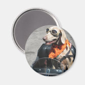 Aimant Pilote facile (Recto/Verso)