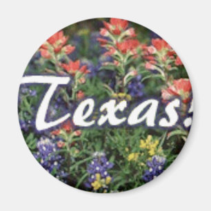 Aimant Pinceaux de Bluebonnets de Texas