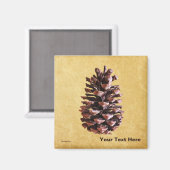 Aimant Pine Cône Sur Papier Vintage (Recto/Verso)