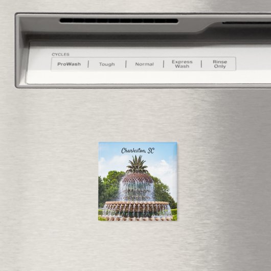 Aimant Pineapple Fountain à Charleston (In Situ (Lave-vaisselle))