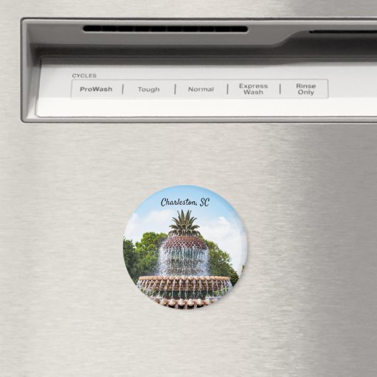 Aimant Pineapple Fountain à Charleston (In Situ (Lave-vaisselle))