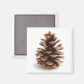 Aimant Pinecone (Recto/Verso)