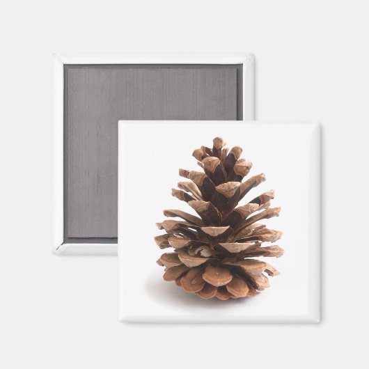 Aimant Pinecone (Recto/Verso)