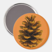 Aimant Pinecone rustique nature brun orange chute (Recto/Verso)