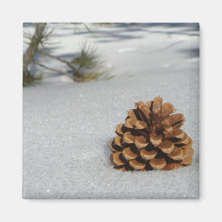 Aimant Pinecone sur l'aimant de neige