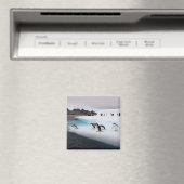 Aimant Pingouins (In Situ (Lave-vaisselle))