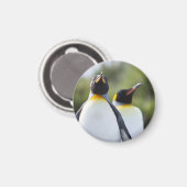 Aimant Pingouins (Recto/Verso)