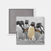 Aimant Pingouins de Rockhopper (Recto/Verso)