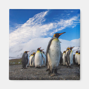 Aimant Pingouins Marching Ciel bleu