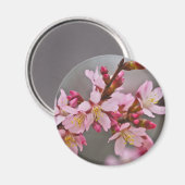 Aimant Pink Against A Gray Sky Japanese Cherry Blossoms (Recto/Verso)