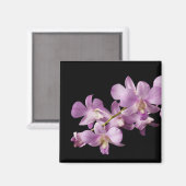 Aimant Pink Dendrobium Orchid (Recto/Verso)
