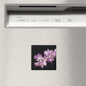 Aimant Pink Dendrobium Orchid (In Situ (Lave-vaisselle))