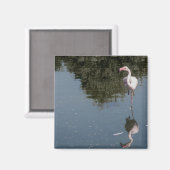 Aimant pink flamingo in the water (Recto/Verso)