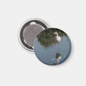 Aimant pink flamingo in the water (Recto/Verso)