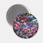 Aimant Pink flowering Dogwood tree (Recto/Verso)