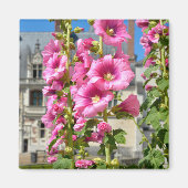 Aimant Pink hollyhocks fleurs carte postale autocollant c (Devant)
