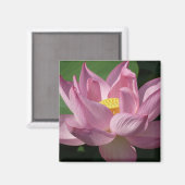 Aimant Pink Lotus Flower IV (Recto/Verso)