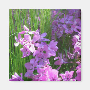 Aimant Pink Phlox et Grass été Floral