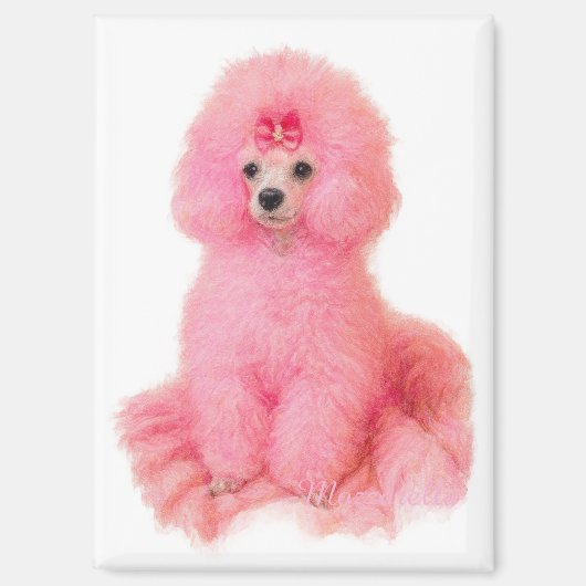 Aimant pink toy poodle magnet, pink poodle, refrigerator (Recto)