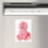 Aimant pink toy poodle magnet, pink poodle, refrigerator (In Situ (Lave-vaisselle))