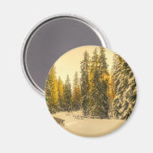 Aimant Pins couverts de neige Forêt Nature Photo (Recto/Verso)