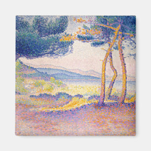 Aimant Pins le long du rivage