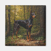 Aimant Pinscher Doberman (Devant)