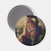 Aimant Pinto (Recto/Verso)