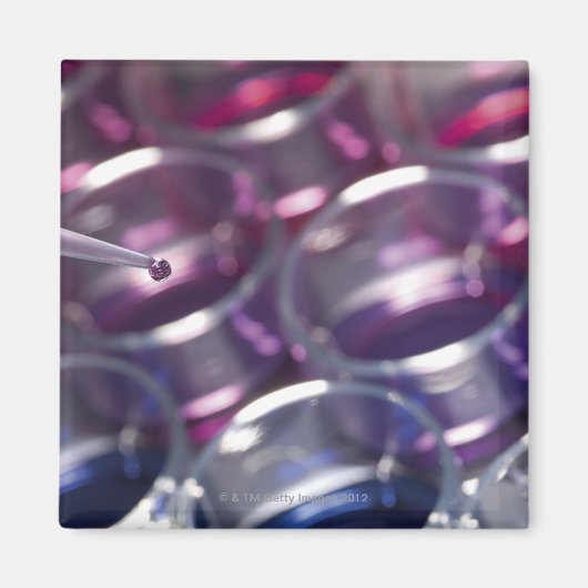 Aimant Pipette et pétri avec fluides (Devant)