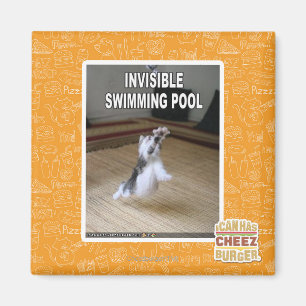 Aimant Piscine invisible