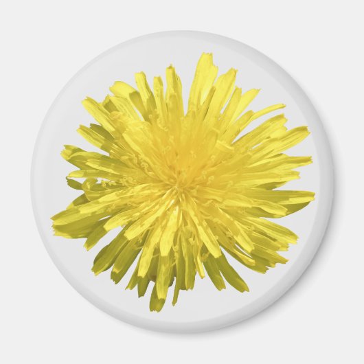 Aimant Pissenlit Jaune (Devant)