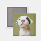 Aimant Pit Bull With Black Spotted Eye (Recto/Verso)