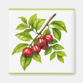 Aimant Pitangueira (Devant)