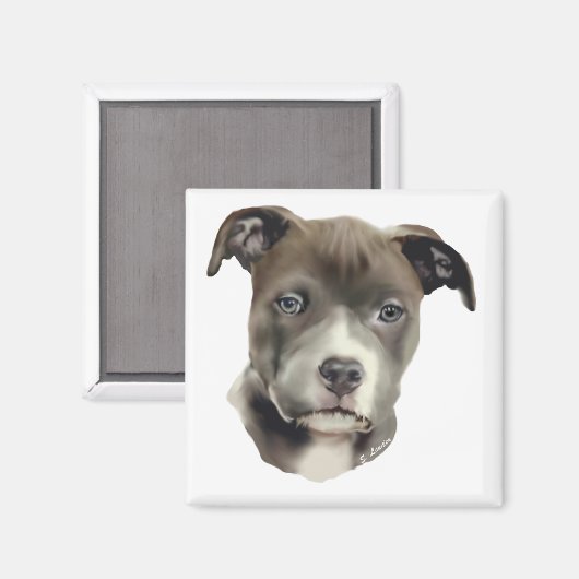 Aimant Pitbull bleu (Recto/Verso)