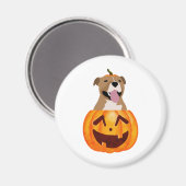 Aimant Pitbull Halloween (Recto/Verso)