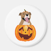 Aimant Pitbull Halloween (Devant)