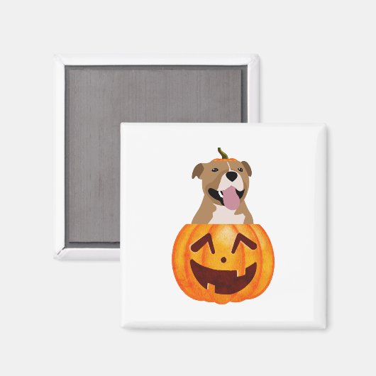 Aimant Pitbull Halloween (Recto/Verso)
