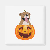 Aimant Pitbull Halloween (Devant)