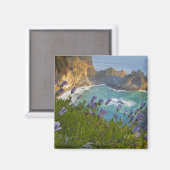 Aimant Pittoresque McWay Falls tombent sur la plage. (Recto/Verso)